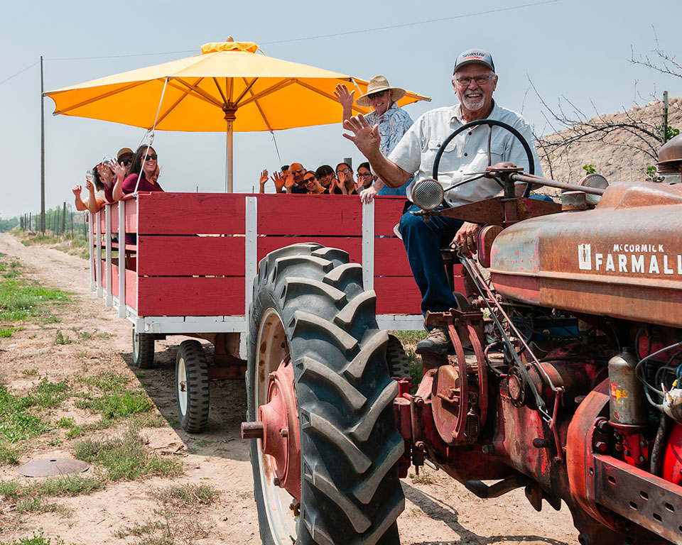 Black Bridge Wine Wagon