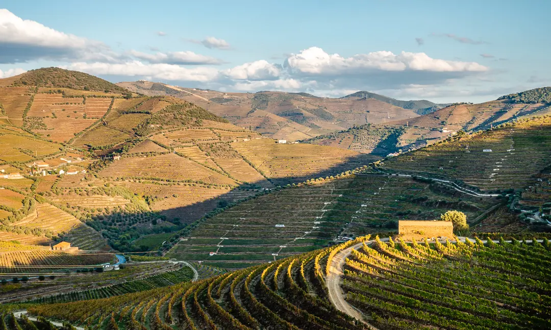 Sandeman Winery, Duoro, Portugal