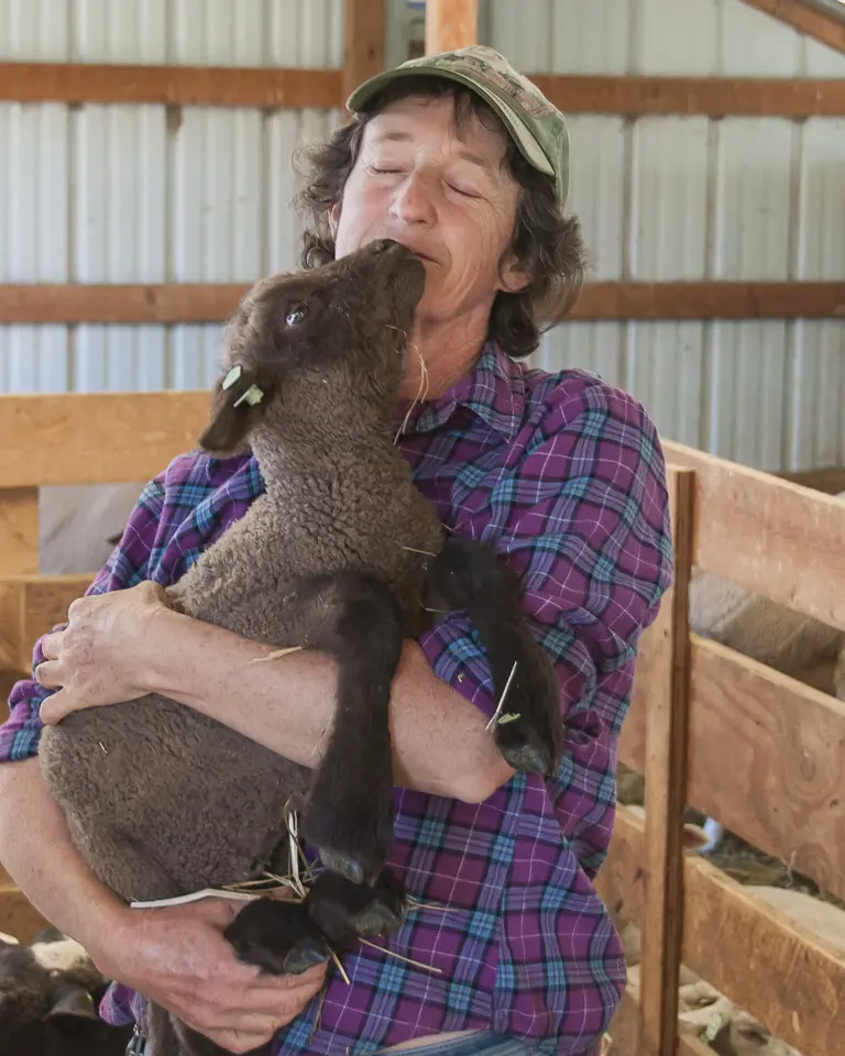 A new lamb at The Living Farm