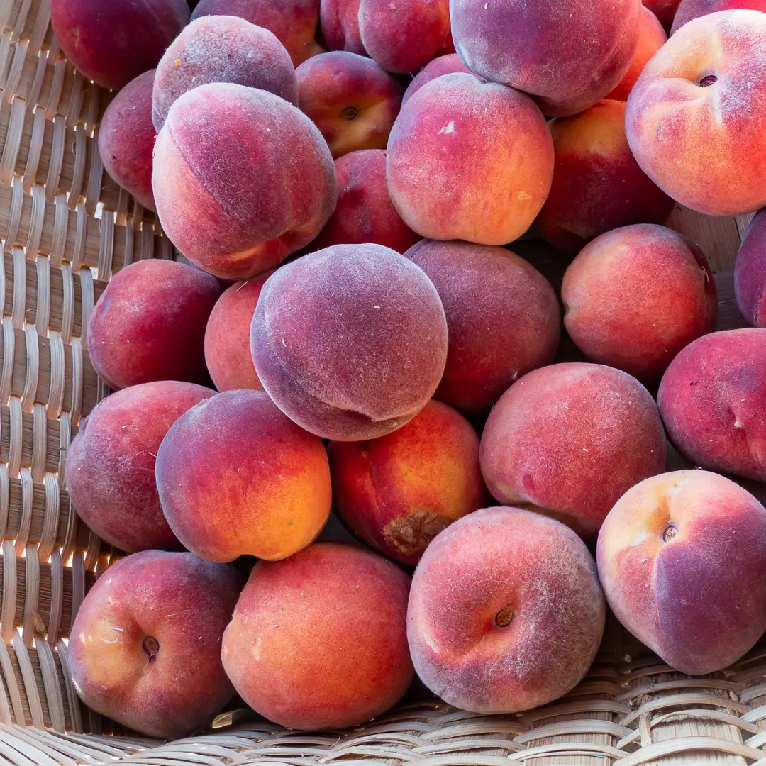 North Fork Valley peaches